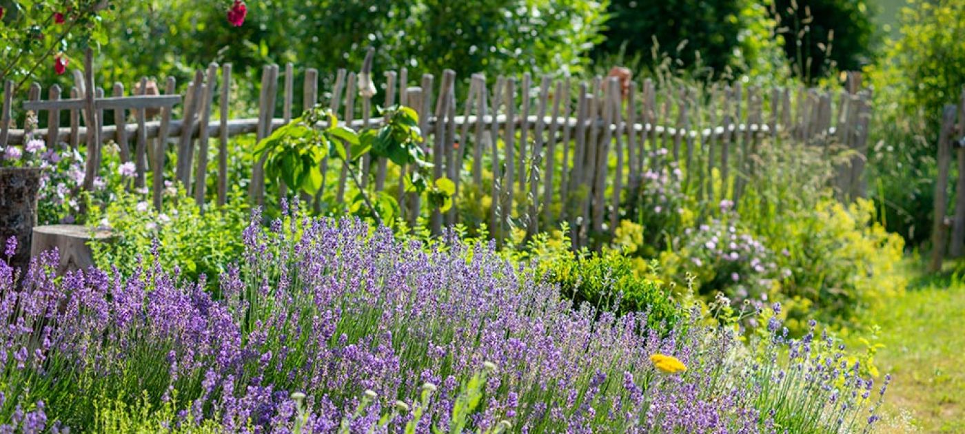 Kräutergarten